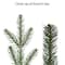 7.5ft. Pre-Lit Alaskan Winter Fir Artificial Christmas Tree, Dual-Color LED Lights